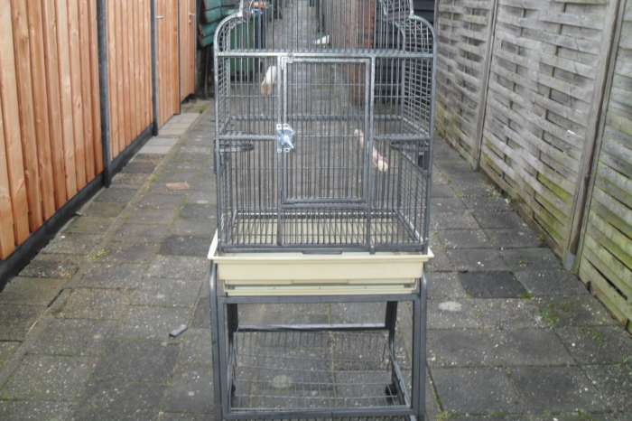 heel veel vogel spullen