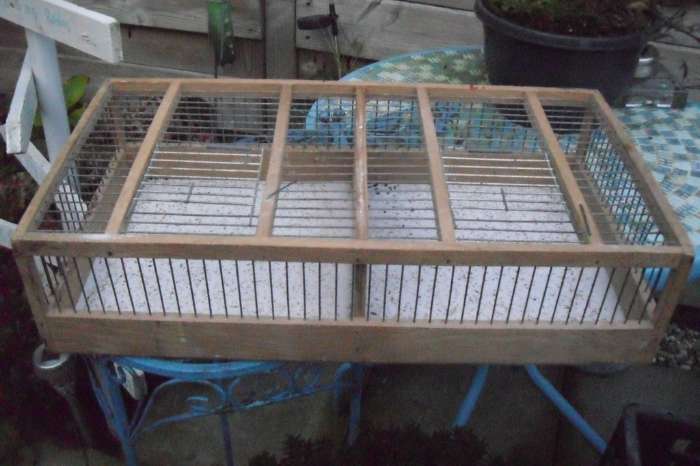 heel veel vogel spullen