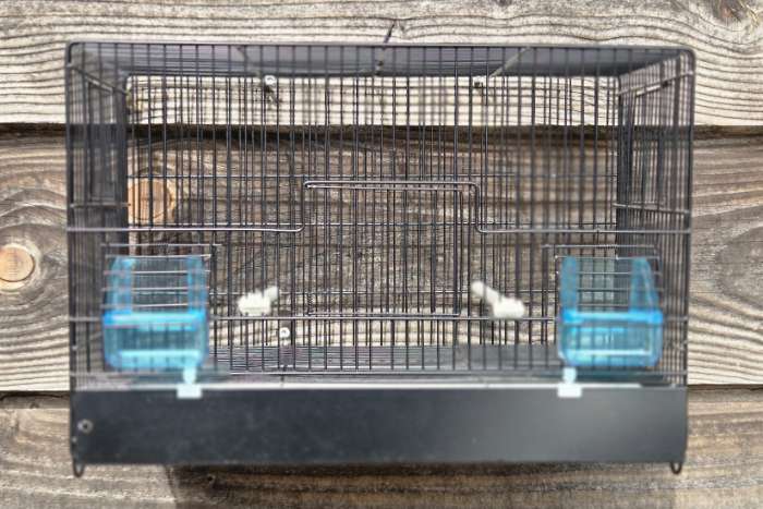 met een kleurtje is ook wel heel mooi