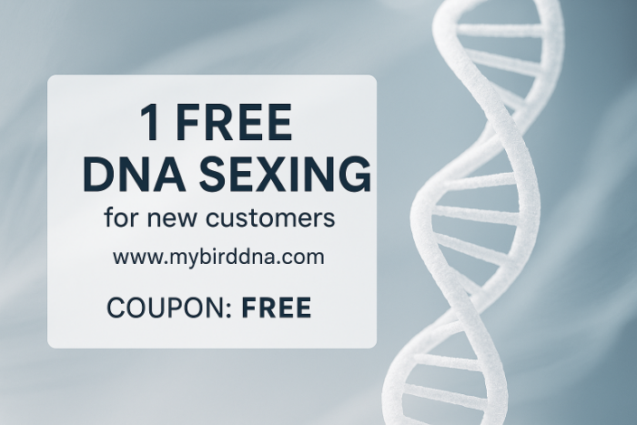 1 dna geslachtsbepaling tot nieuwe klant