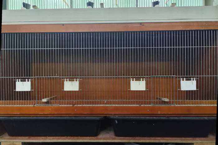 broedkooien van watervaste multiplex