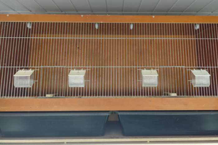 broedkooien van watervaste multiplex