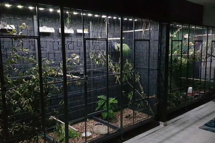 avicultuur-led dimmers voor 'n goed dag/nachtritme