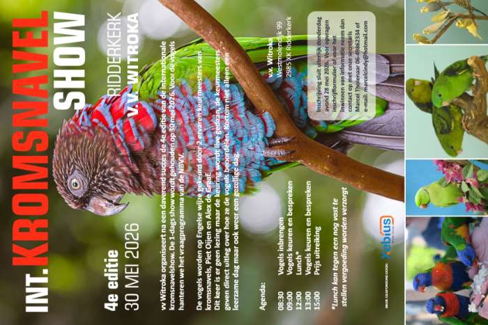 kromsnavel show 30 mei