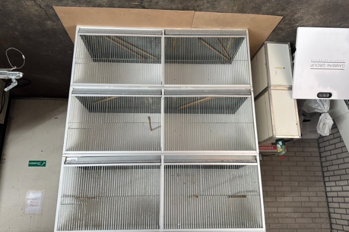 grote saffraan vinken