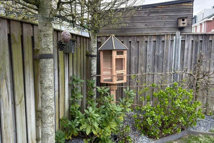 supper mooie 6hoek vogel kooi