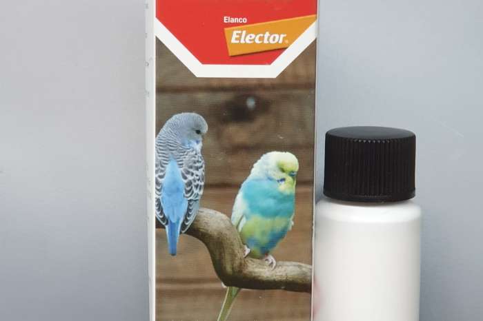 elector tegen bloedluizen