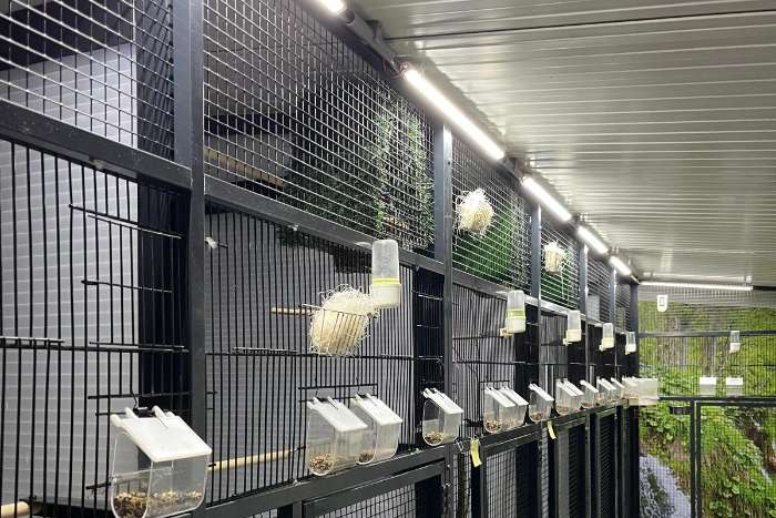 led installatie op maat voor uw vogelkooi(en)