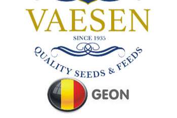 vdc goudvinken plus 212