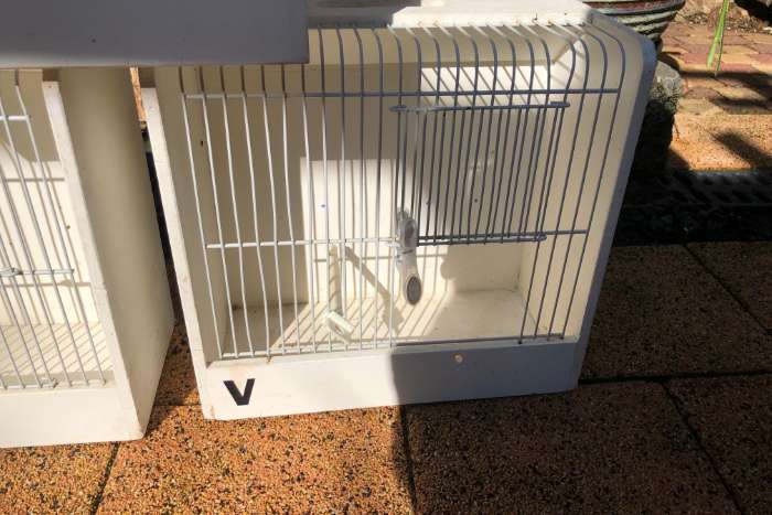 3 x witte tt kooi met 2x voorfront