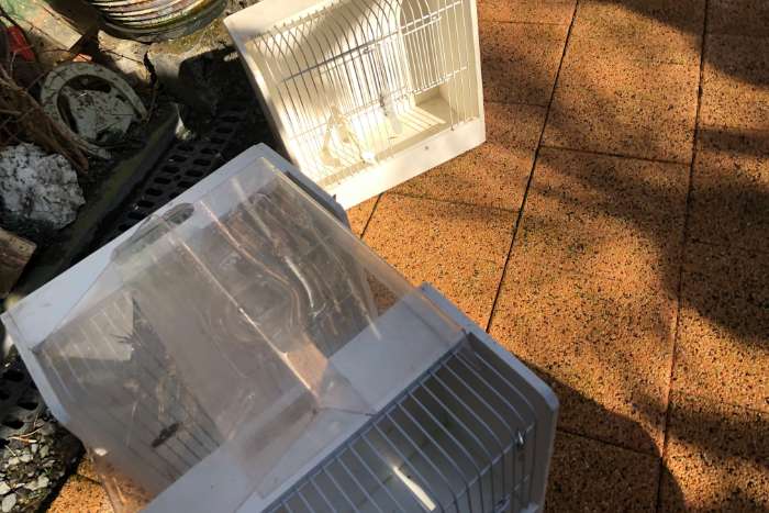 3 x witte tt kooi met 2x voorfront