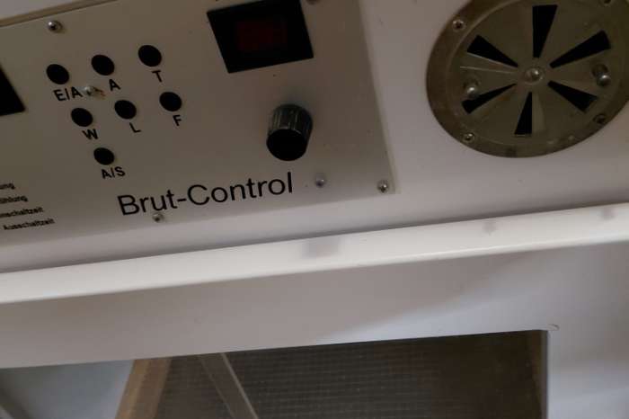 couveuse/warmtekast en aluminium broedkooien.