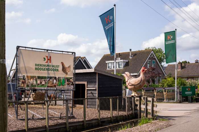 gezocht: allerlei parkieten en andere vogels