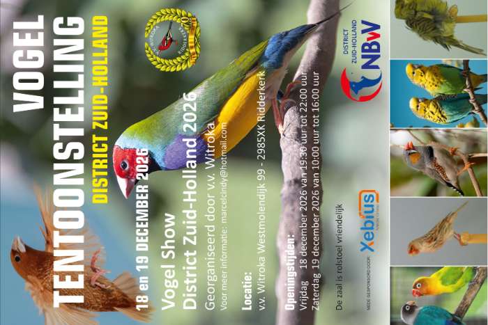 district  zuid-holland 2026