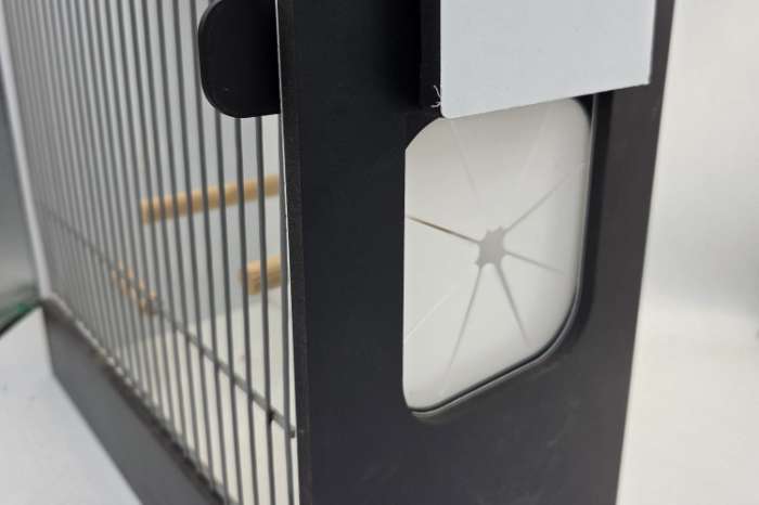 veilig je vogel uitvangen uit de tt kooi