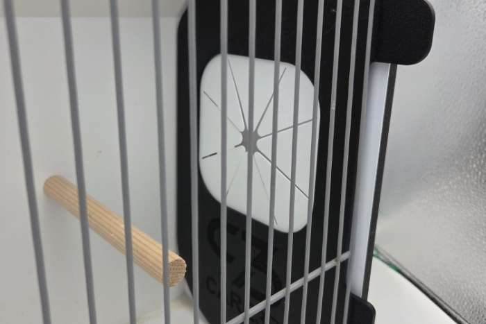 veilig je vogel uitvangen uit de tt kooi