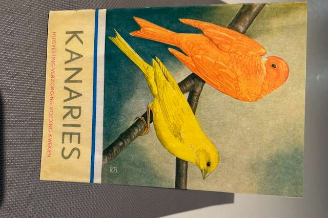 kanaries: huisvesting verzorging voeding kweken
