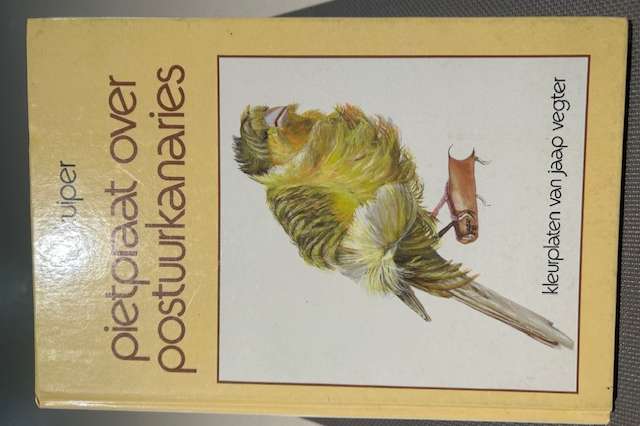 pietpraat over postuurkanaries