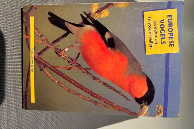 europese vogels kweken en tentoonstellen