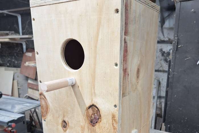 nestkasten voor halsbandparkieten