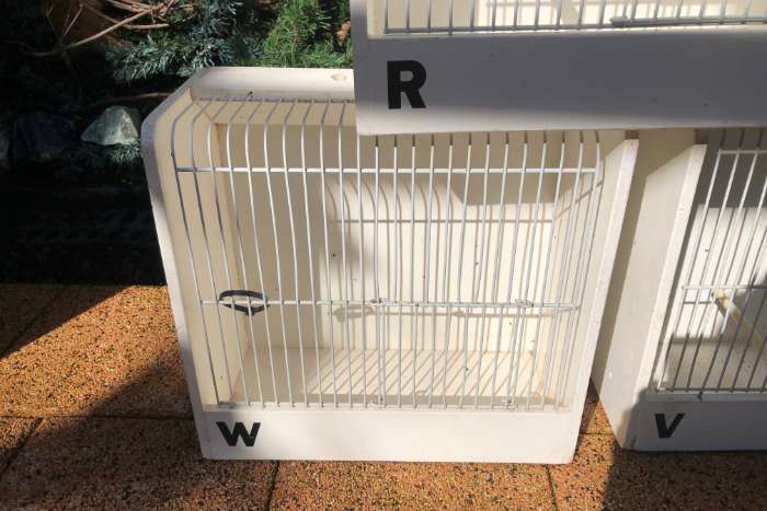 3 x witte tt kooi met 2x voorfront