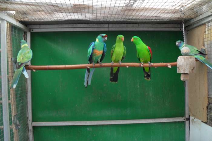 25 -4 op beurs nrd wijkerhout /nu thuis