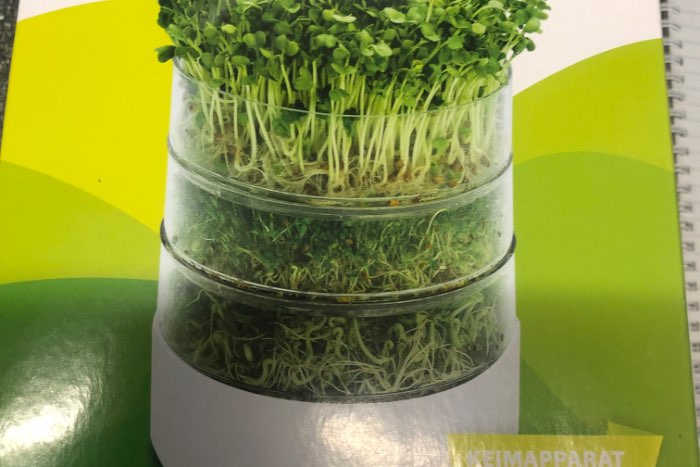 kiemset bioset voor vogels