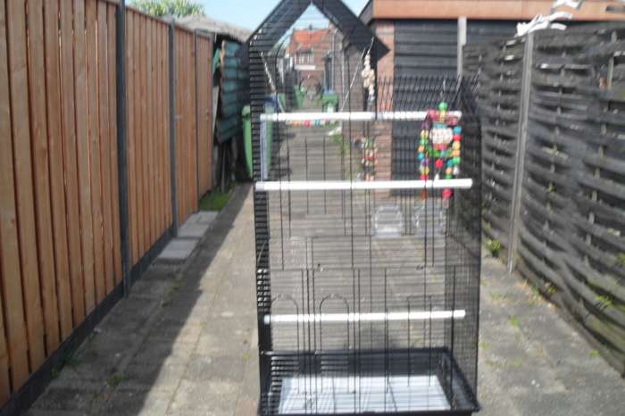 heel veel vogel spullen