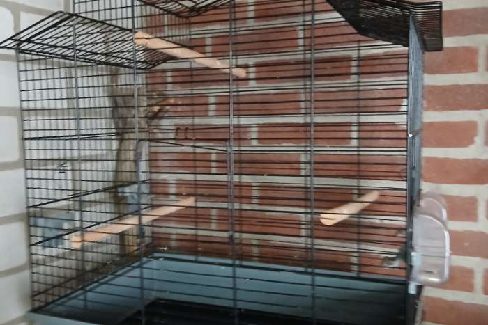 gratis 3 vogelkooien