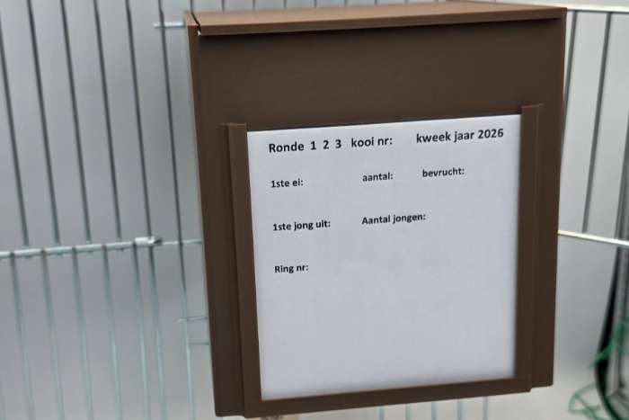 nestkastjes