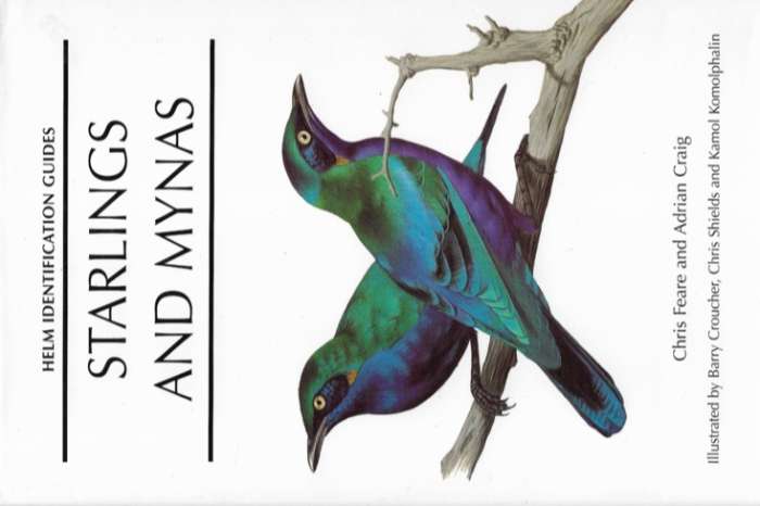 starlings and mynas