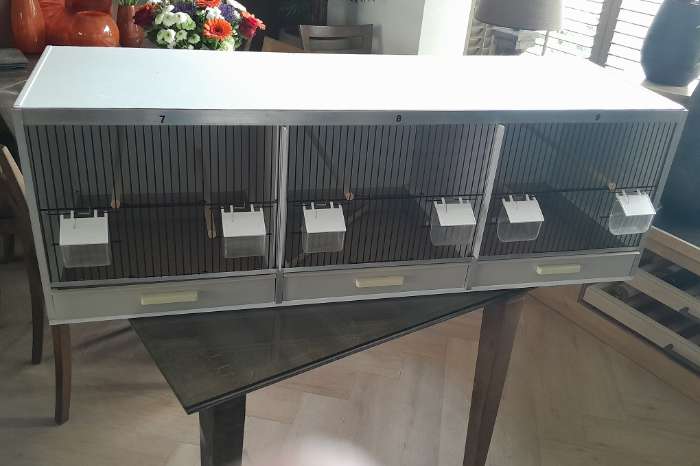volierevogels