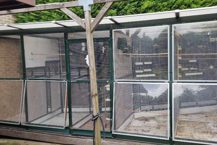aluminium tuin volière inclusief dak 7mx5mx2m