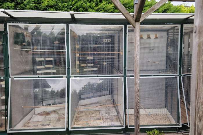 aluminium tuin volière inclusief dak 7mx5mx2m