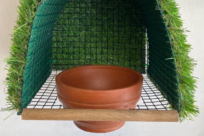 vogelnesten