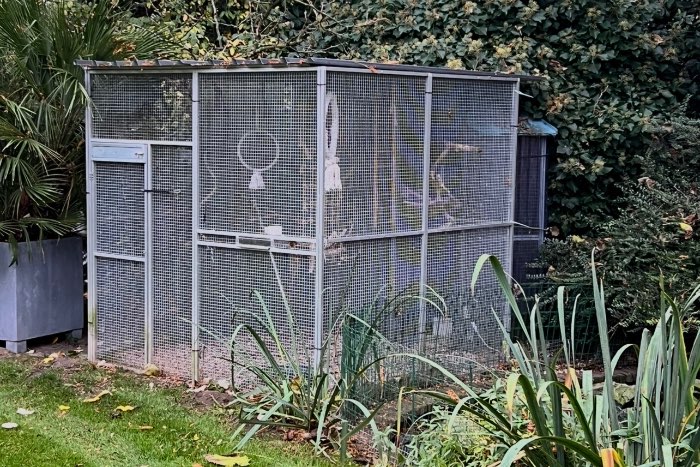 panelen volière te koop