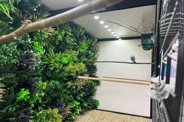led installatie op maat voor uw vogelkooi(en)