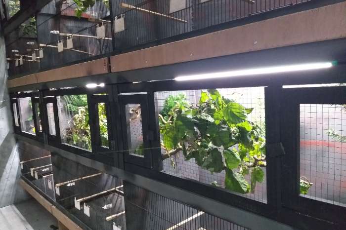 led installatie op maat voor uw vogelkooi(en)