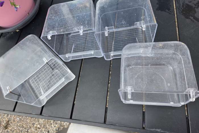 4 transparante vogelbadjes uit 1 deel