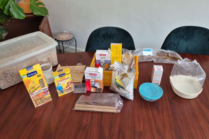 turquoisine parkiet en toebehoren te koop