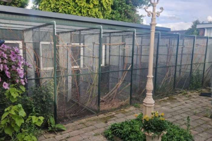 9 luxe aluminium volières (2019) + binnenhokken & broedblokken