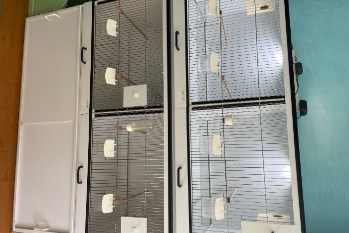 3 onderkasten+2 kamervolieres+3 broedkooien van birdsupply