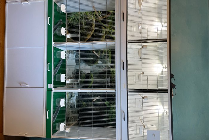 3 onderkasten+2 kamervolieres+3 broedkooien van birdsupply