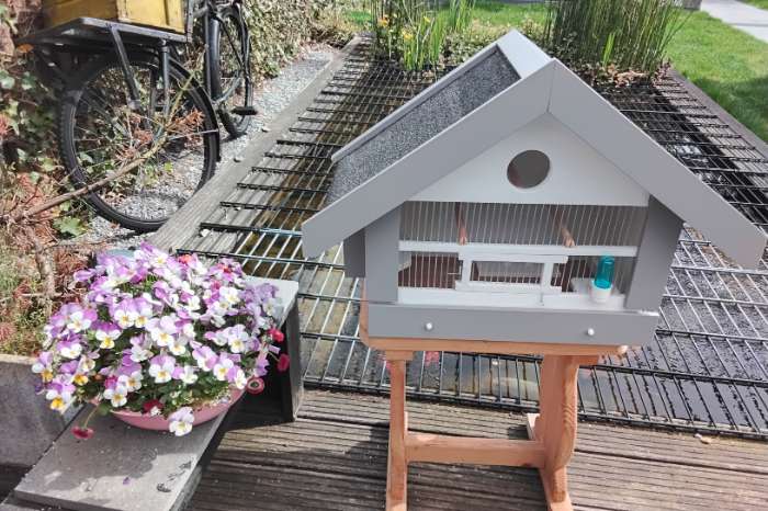 vogel kooien zang kooien