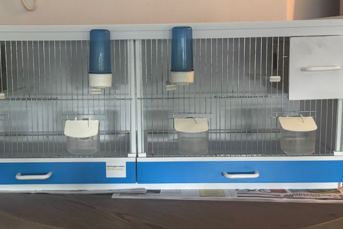 2 kunststof broedkooien bakker
