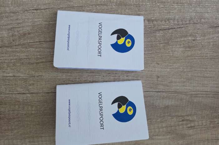 2x valkparkiet pop half tam (04-2025) met kooi en toebehoren