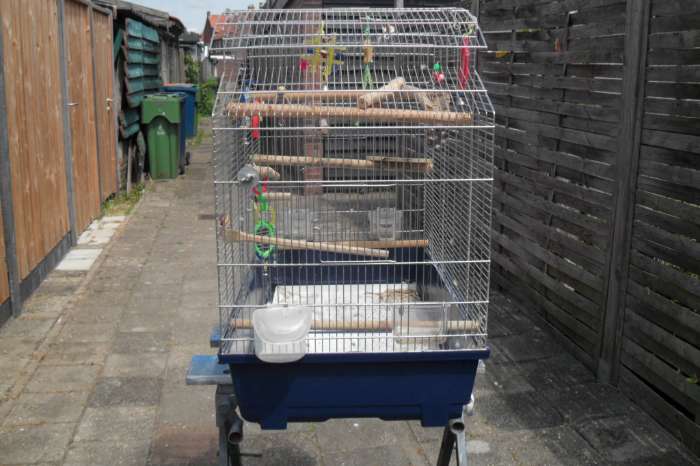 heel veel vogel spullen