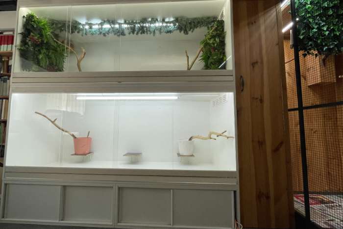 vogelkooien / broedkooien / vitrinekooien 200x80x80