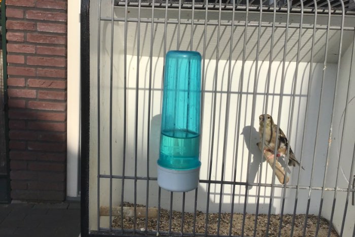 te koop