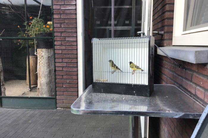 te koop
